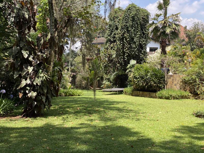 Manor on Lower Kabete - Cottage Kitchen